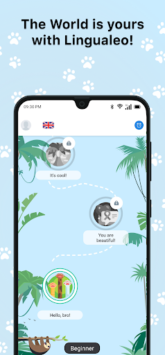 Lingualeo bilan ingliz