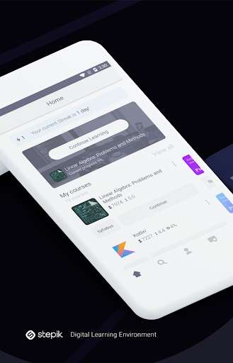 Stepik: onlayn kurslar